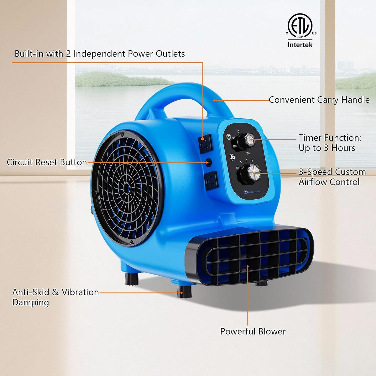 Air Mover 1/4 HP 1000 CFM Portable Blower Fan Carpet Dryer, Floor Dryer Fan | 3-Speed, 4 Adjustable Angles, Daisy