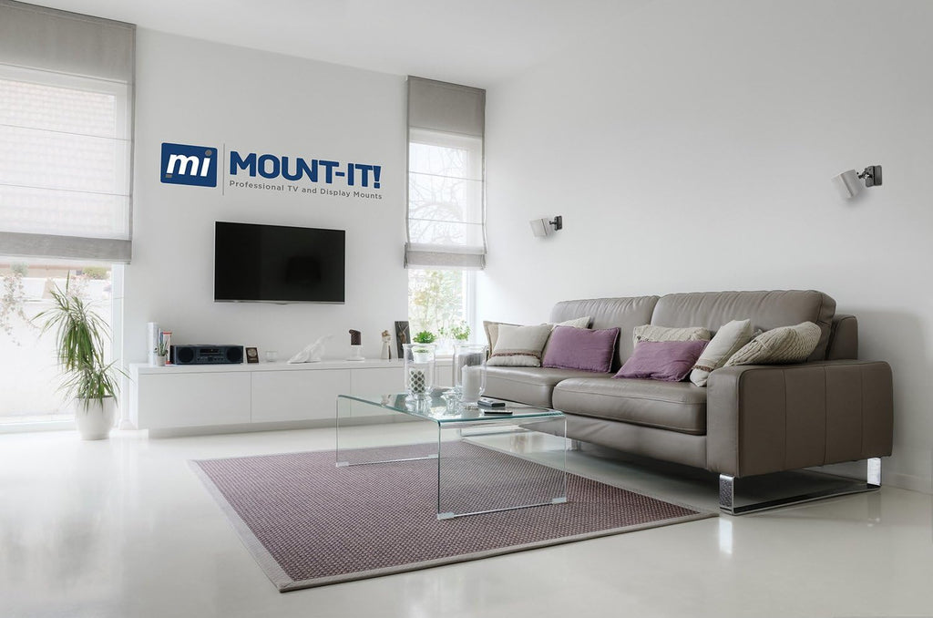 Speaker Mount for Wall and Ceiling, Low Profile Heavy Duty, Anti-Theft, Universal for Channel Surround Sound and