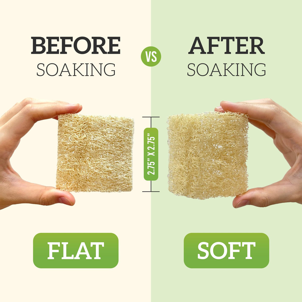 Natural Loofah Dish Sponge Multipurpose 100% Biodegradable