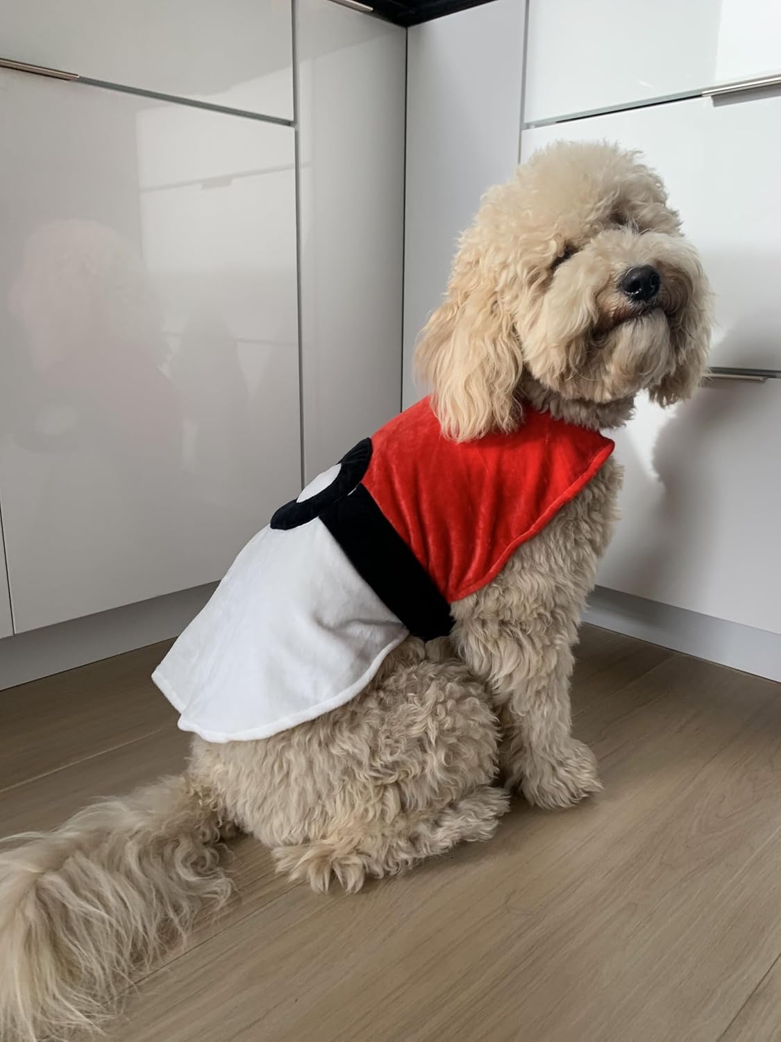 Red and White Dog Costume