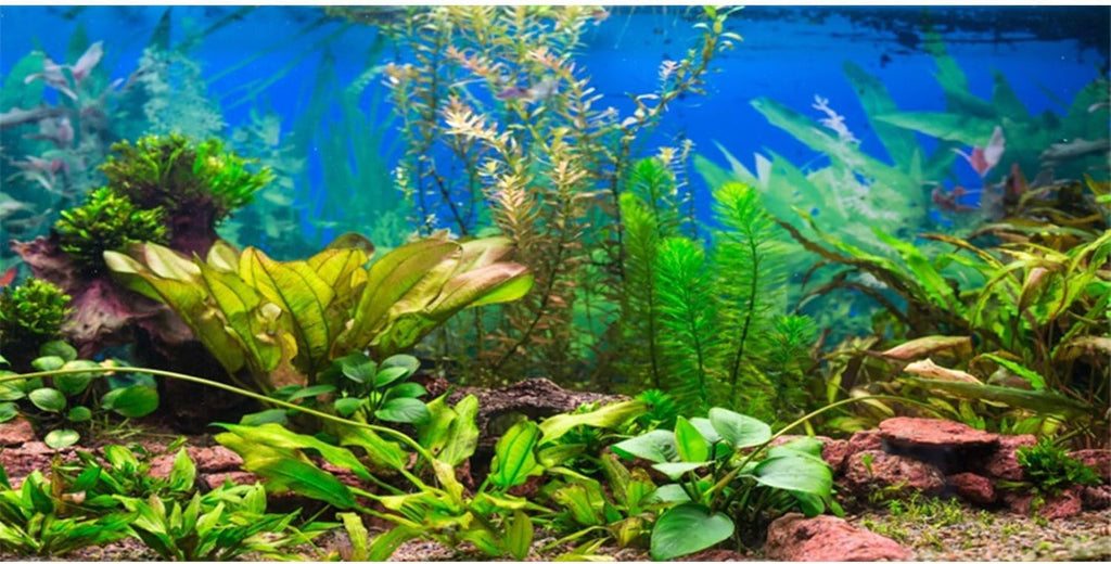48x18 in Aquatic Plant Aquarium Backdrop Riverbed Fish Tank Background