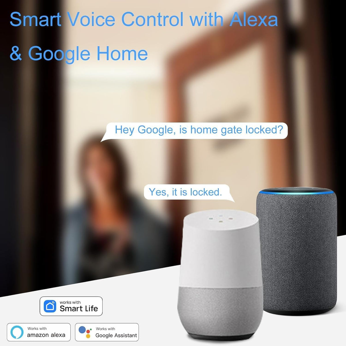 WiFi Door and Window Sensor, Smart Home Security Alert System, 2.4G Wireless, Compatible with Alexa, Google Home