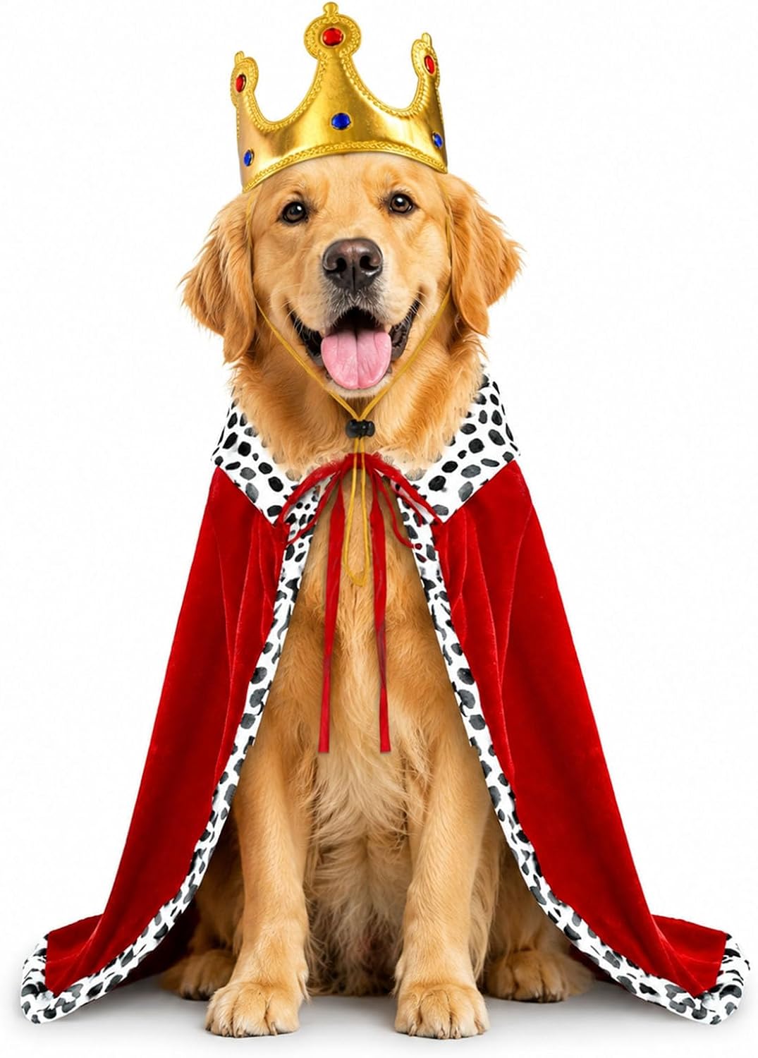 Dog Halloween Costumes for Large Dogs,Funny Dog Costume King Crown Cape(L)