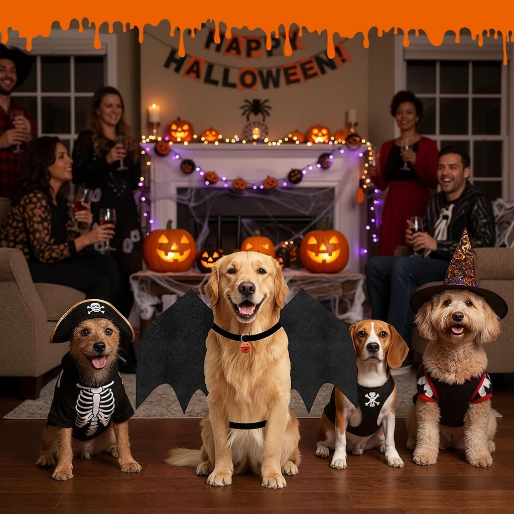 Large Dog Halloween Costumes