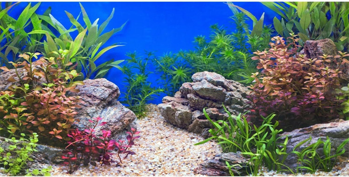30x18 in Aquatic Plant Fish Tank Background Stone Aquarium Backdrop