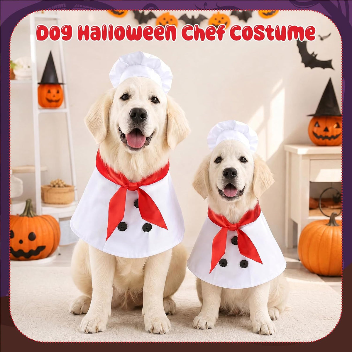 Halloween Dog Costumes, Dog Chef Costume, Pet Chef Outfit, S