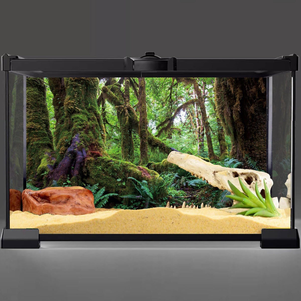 36x18 in Terrarium Backdrop Rainforest Moss Tree Reptile Habitat Background