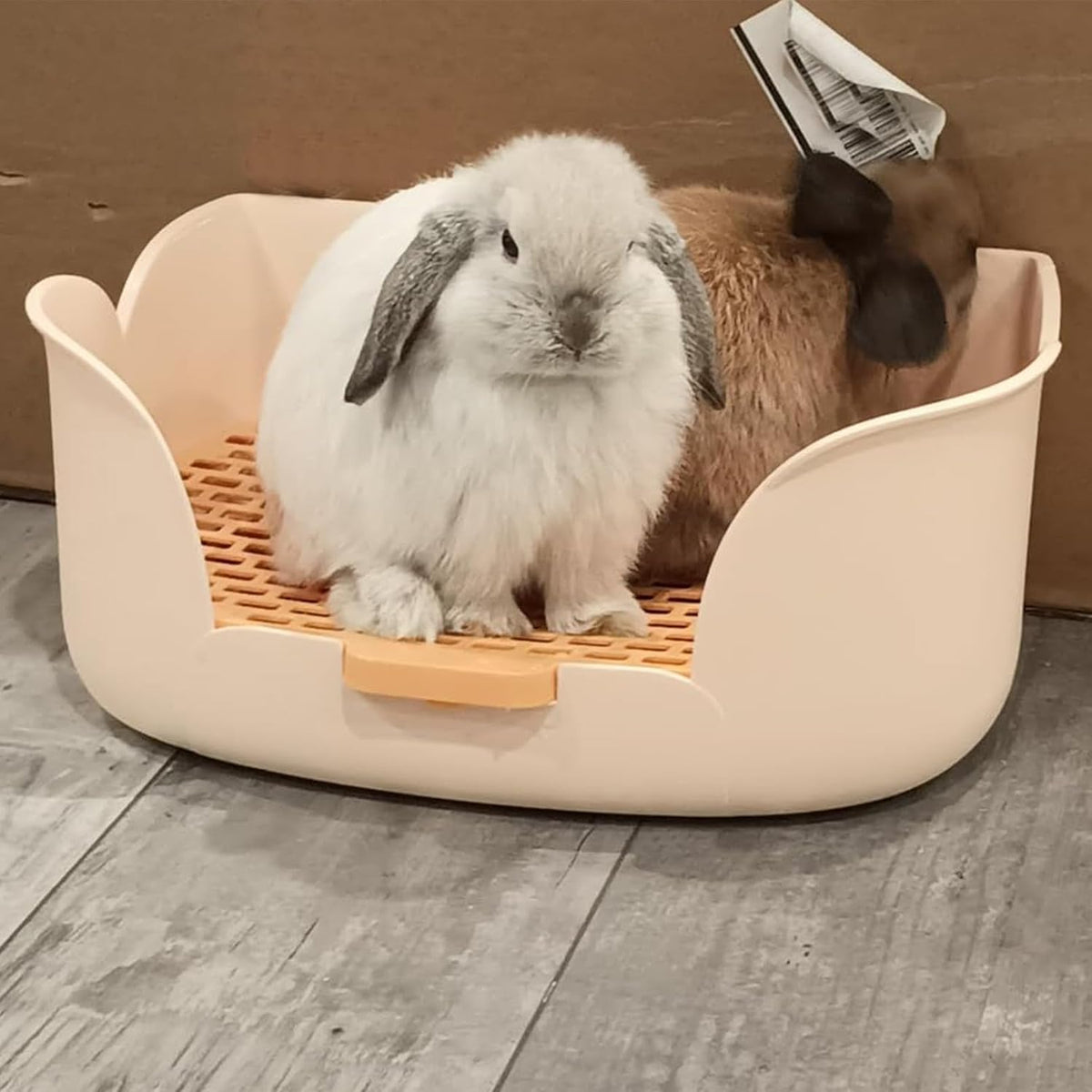 15.1"X11.0" Large Rabbit Litter Box,Plastic Square Rabbits Potty Trainer with Bigger Pan Bunny Corner Toilet Box with