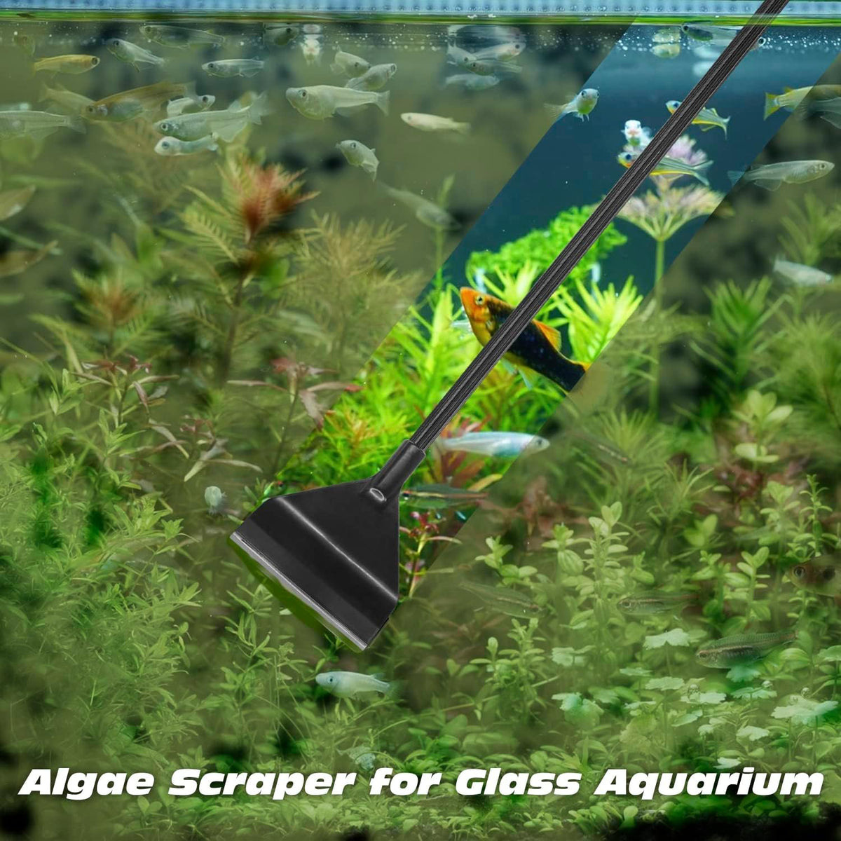 Algae Scraper for Glass Aquariums, 25.6inch with 10 Blades