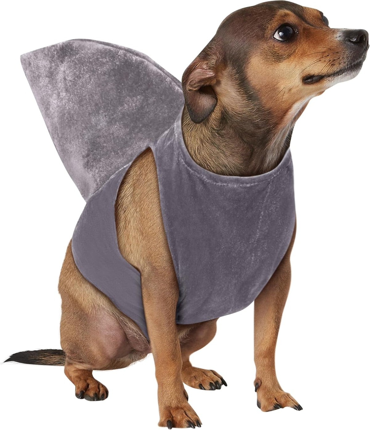 Shark Fin Pet Costume for Dogs or Cats, S/M