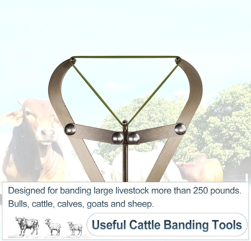 Cattle Banding Tools Large Bander and 24pcs Large Rings Kit for Farm Ranch Calves Bull Sheep Goat