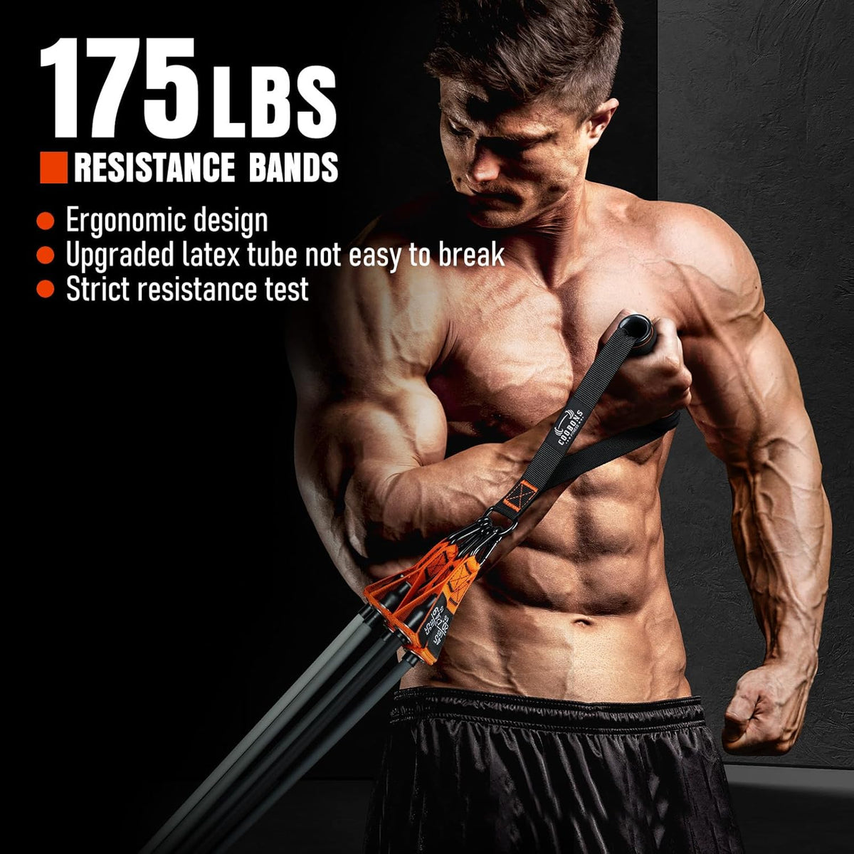 Resistance Bands with Handles, 175lb Exercise Bands for Working Out, Fitness Bands, Workout Bands with Door Anchor