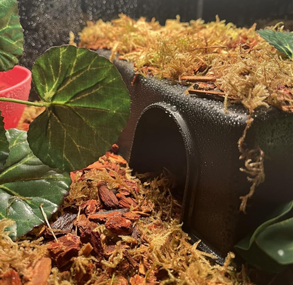 Snake Hide Reptile Hide for Snake Lizard Gecko and Baby Ball Python Use10.23"x7.48"x2.75" (M) Durable and Easy to