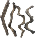 Reptile Decor 4PCS Natural Forest Branch Terrarium Habitat Wood Decoration Lizard Climbing Tree Branch for Bearded