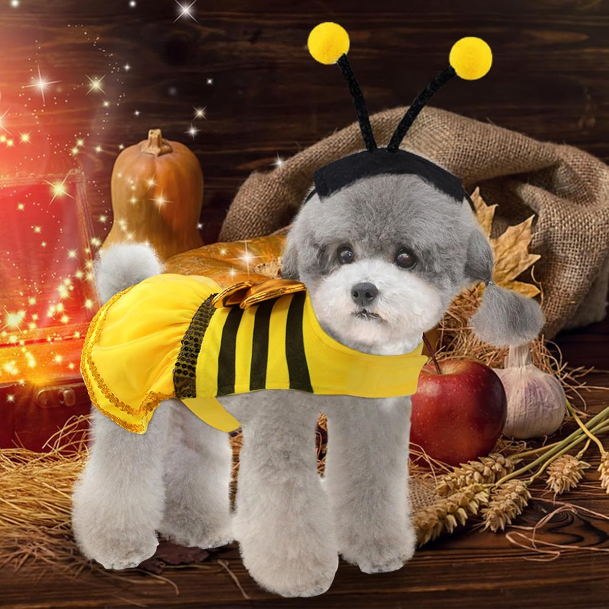 Bee Dog Halloween Costumes, Bumblebee Dog Costume for Small Medium Dogs Cats