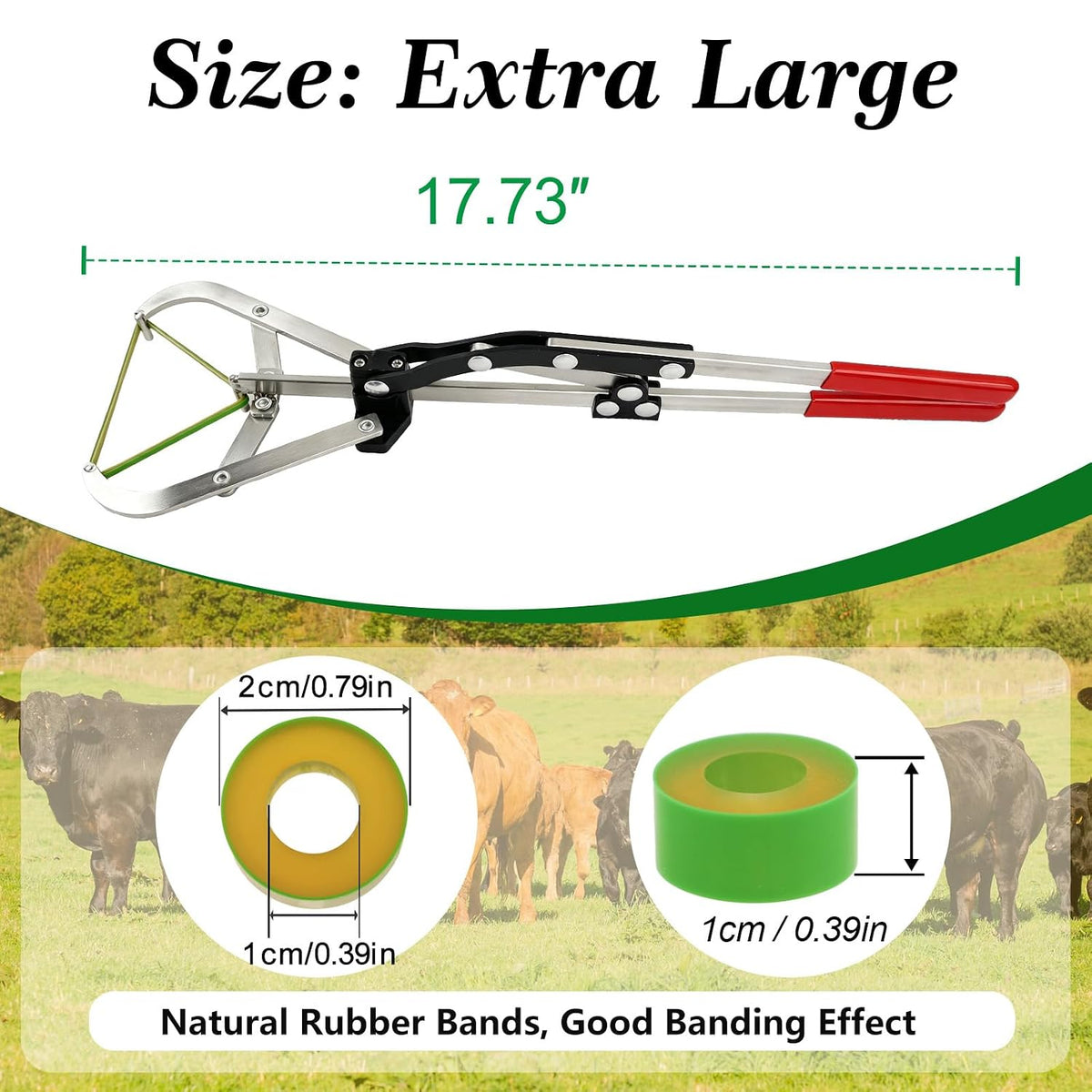 Extra Large Cattle Banding Tools with a Bander and 24pcs Large Bands