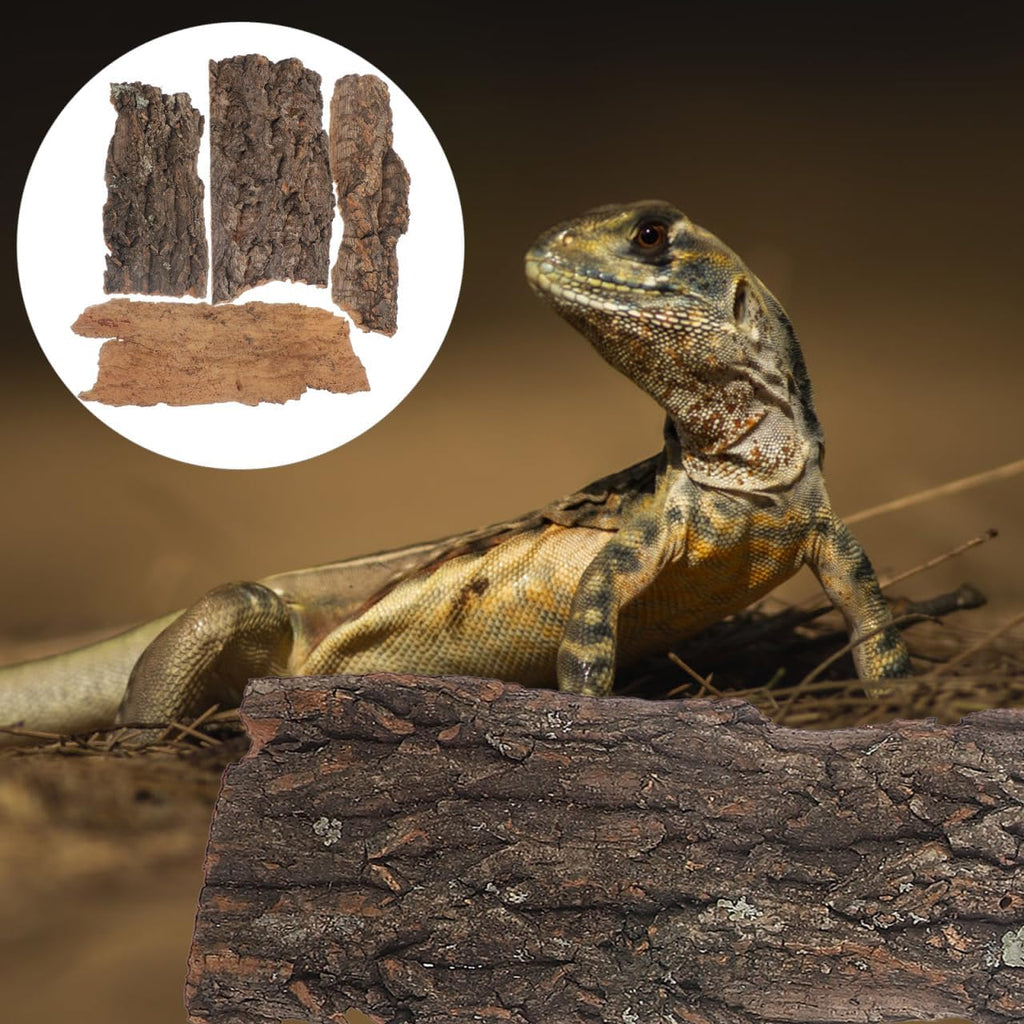 4Pcs Reptile Tree Bark Reptile Hides: Natural Wood Cork Bark Gecko Hide Small Climbing Barks Terrarium Decor Lizard