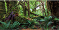 36x18 in Terrarium Backdrop Rainforest Moss Tree Reptile Habitat Background