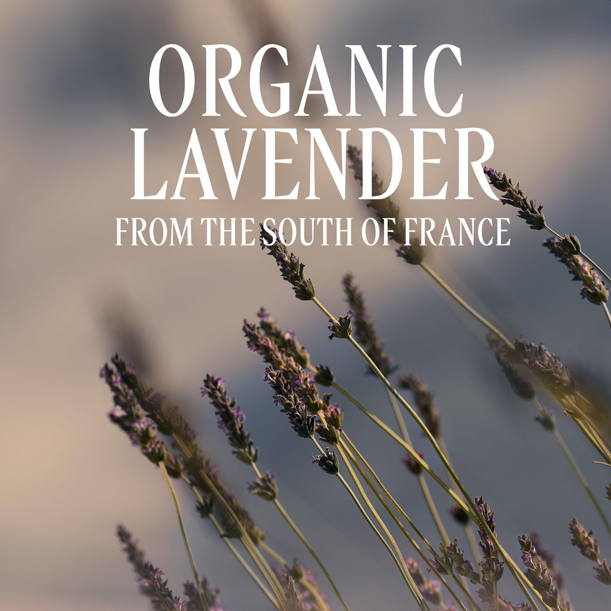 Relaxing & Foaming Lavender Bubble Bath 16.90 fl oz