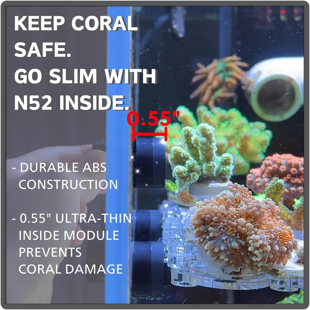 Magnetic Algae Scraper - N52 Magnet, Ultra-Thin, Reef Safe (STD)