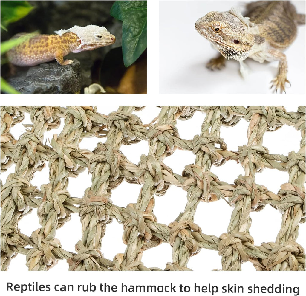 Bearded Dragon Seagrass Hammock: Triangle 17'' x 12.5''