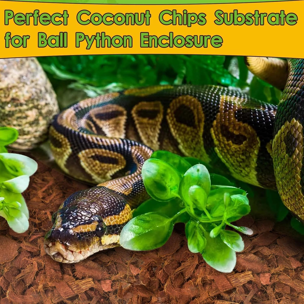 2-Pack Coconut Husk for Reptiles, 2.2 LB Coconut Fiber Substrate
