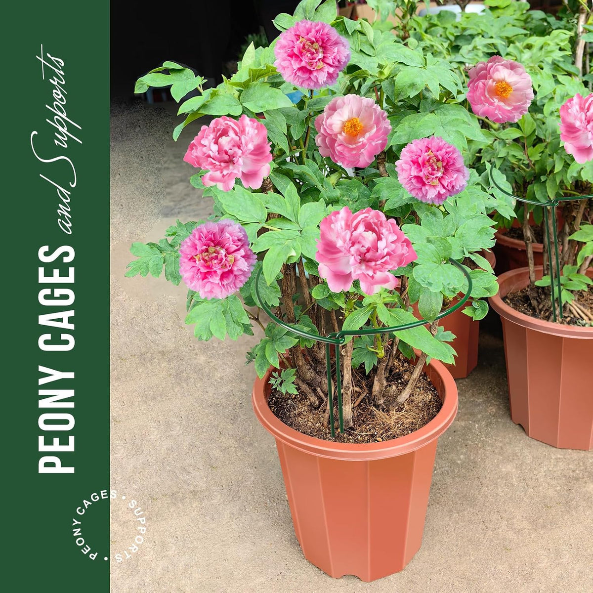 Plant Support Stakes, 4 PCS Plant Stakes, Plant Support, Peony Cages and Supports, Garden Stakes, Plant Stakes for