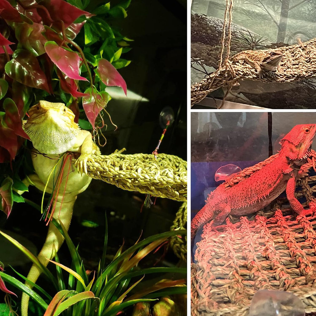 Bearded Dragon Tank Hammock,Natural Seagrass Reptile Lounger Hammocks Decor Flexible Leaves Jungle Climber Vines