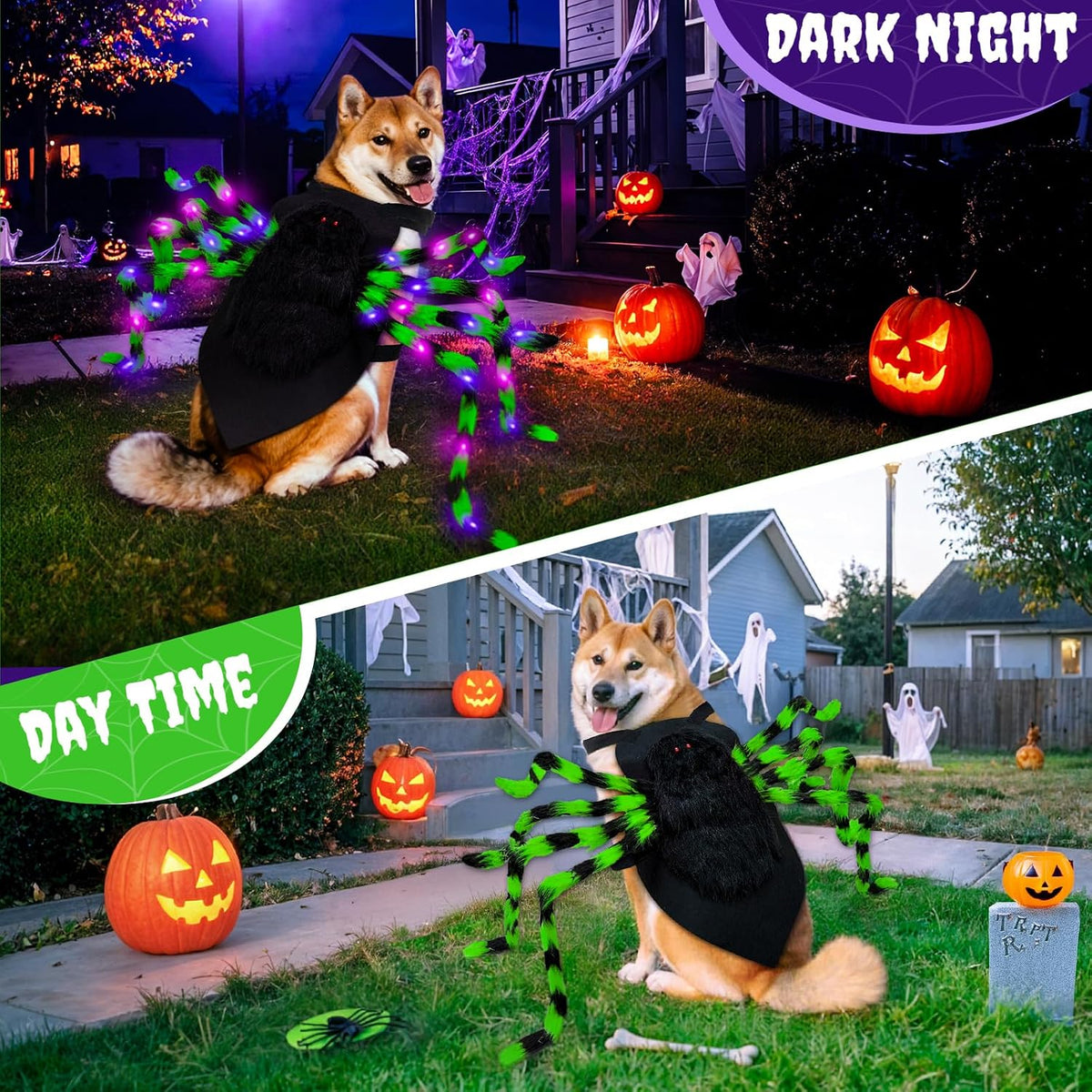 Realistic Halloween Spider Dog Costume for XL Large Dog Cosplay with 64 Led