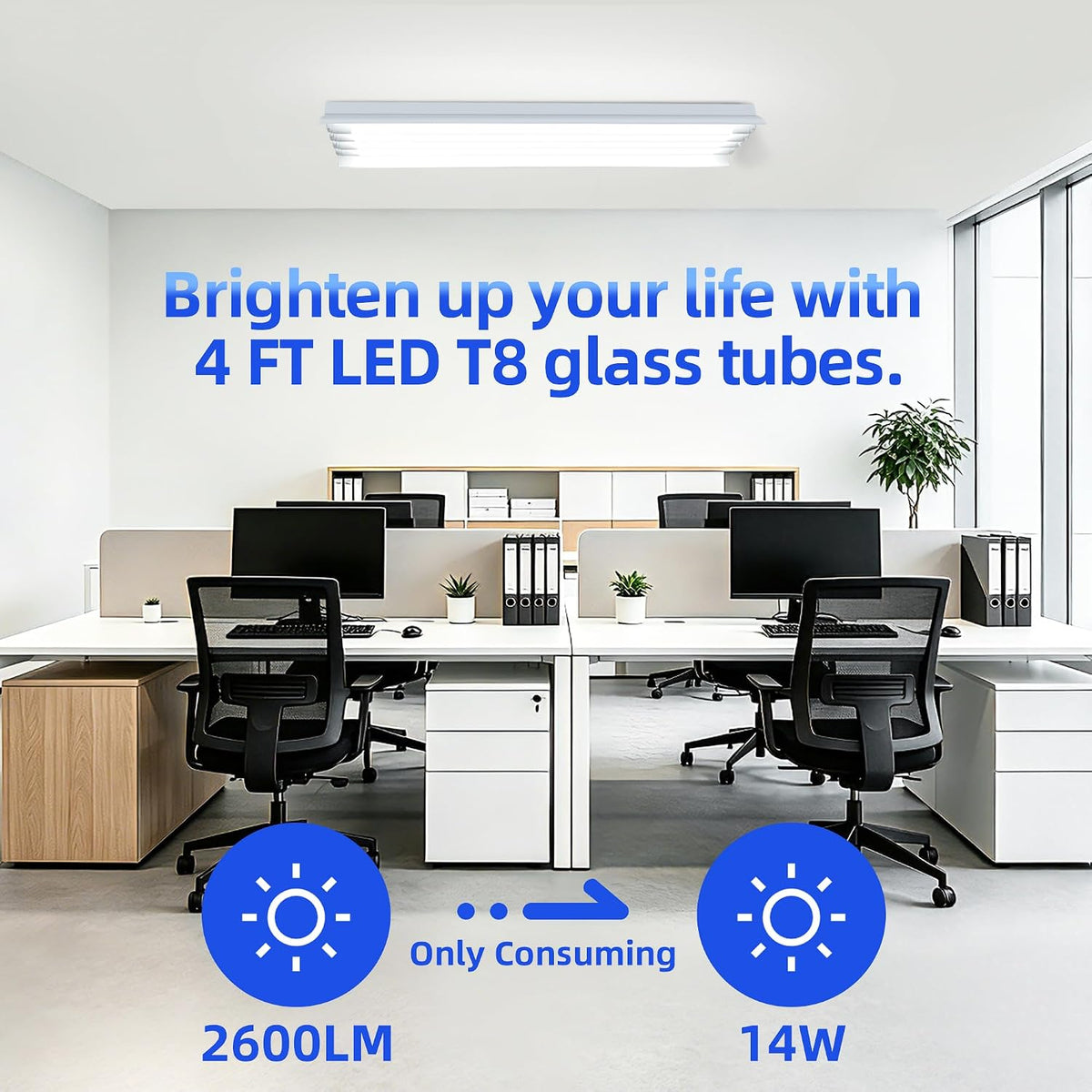 hykolity T8 LED Bulbs 4 Foot,186LM/W,14W 2600LM 5000K, T8 Type A+B, DLC 6.0