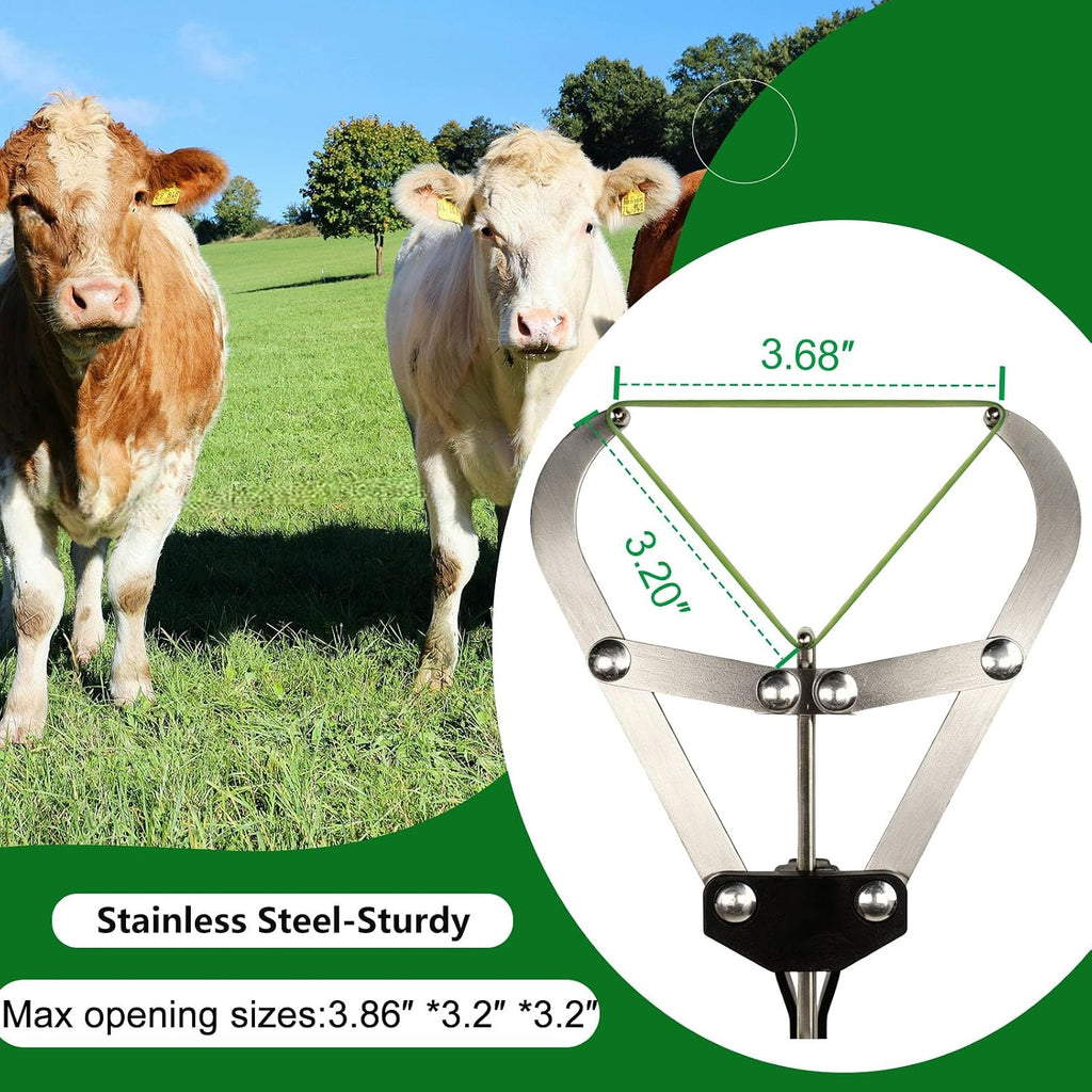 Extra Large Cattle Banding Tools with a Bander and 24pcs Large Bands