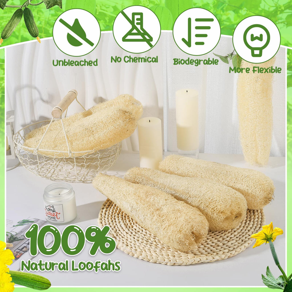 11.8" Natural Loofah Sponges 6-Pack, Organic Bath & Body Scrubber