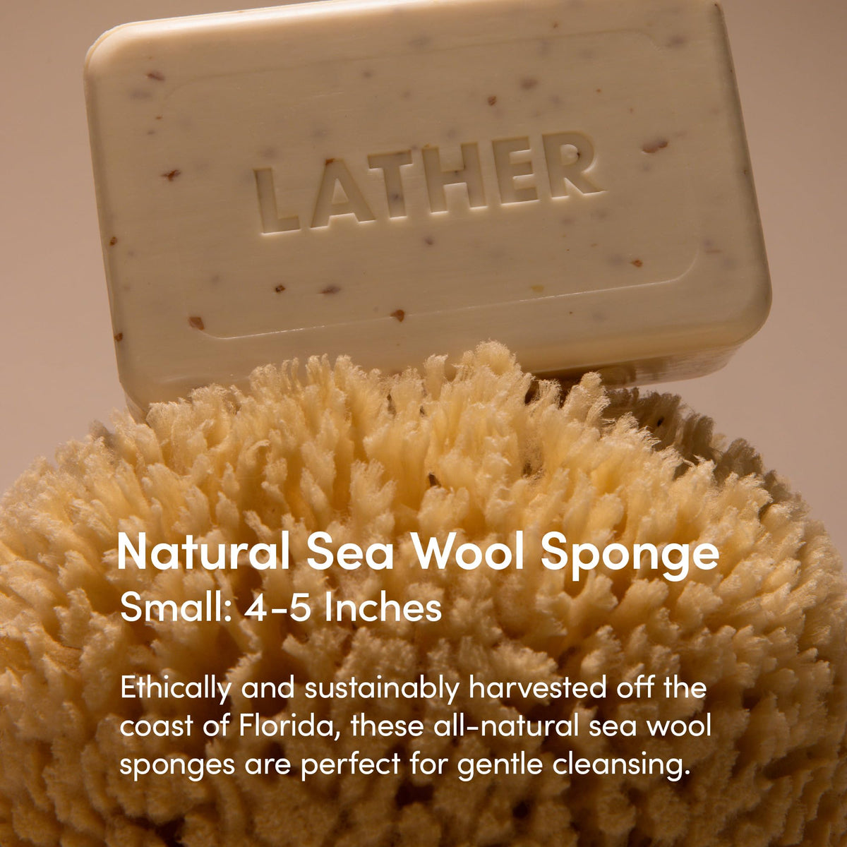 Natural Sea Wool Sponge, 4-5" - Organic Exfoliating Body Scrubber - Soft, Gentle Cleansing - Hypoallergenic - All