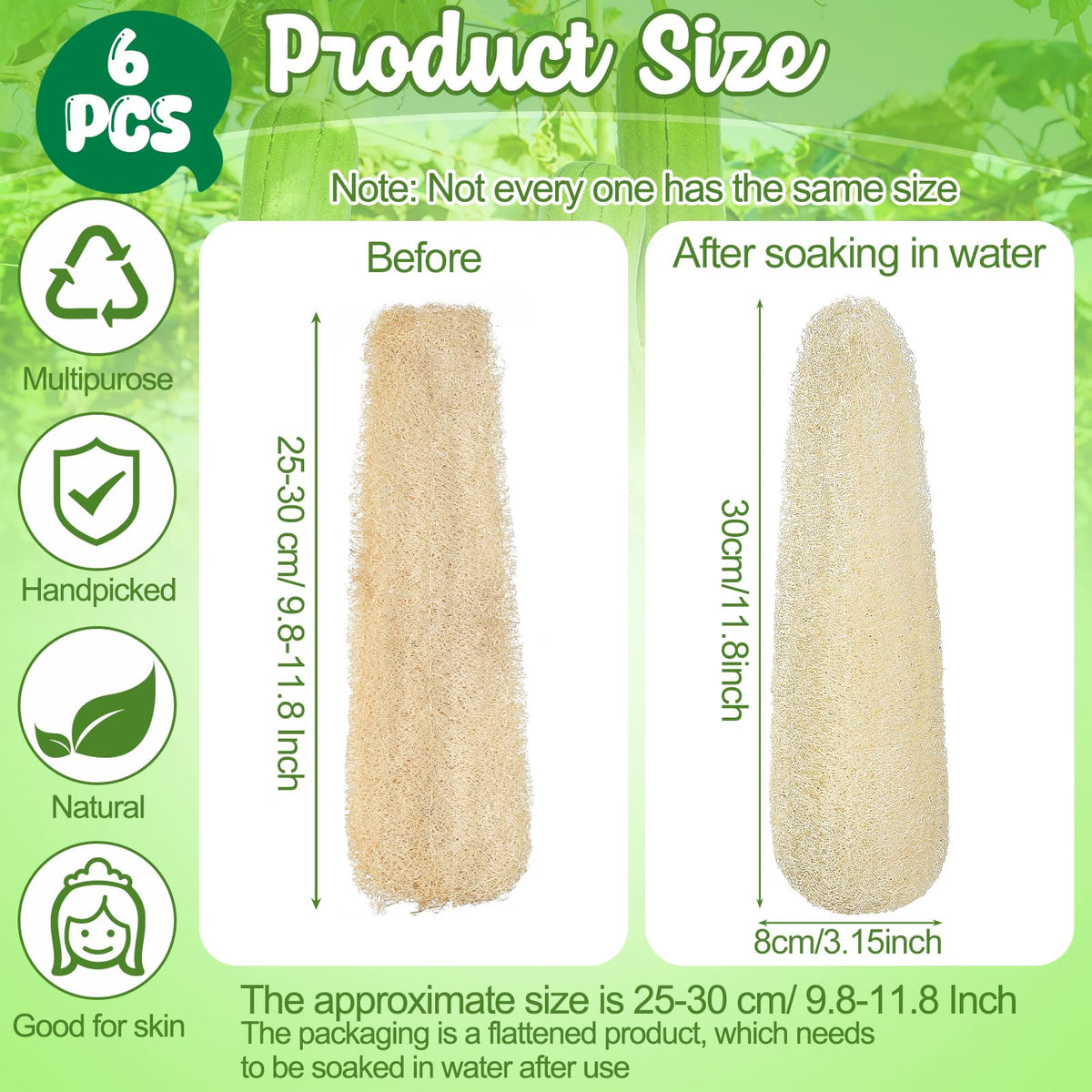 11.8" Natural Loofah Sponges 6-Pack, Organic Bath & Body Scrubber