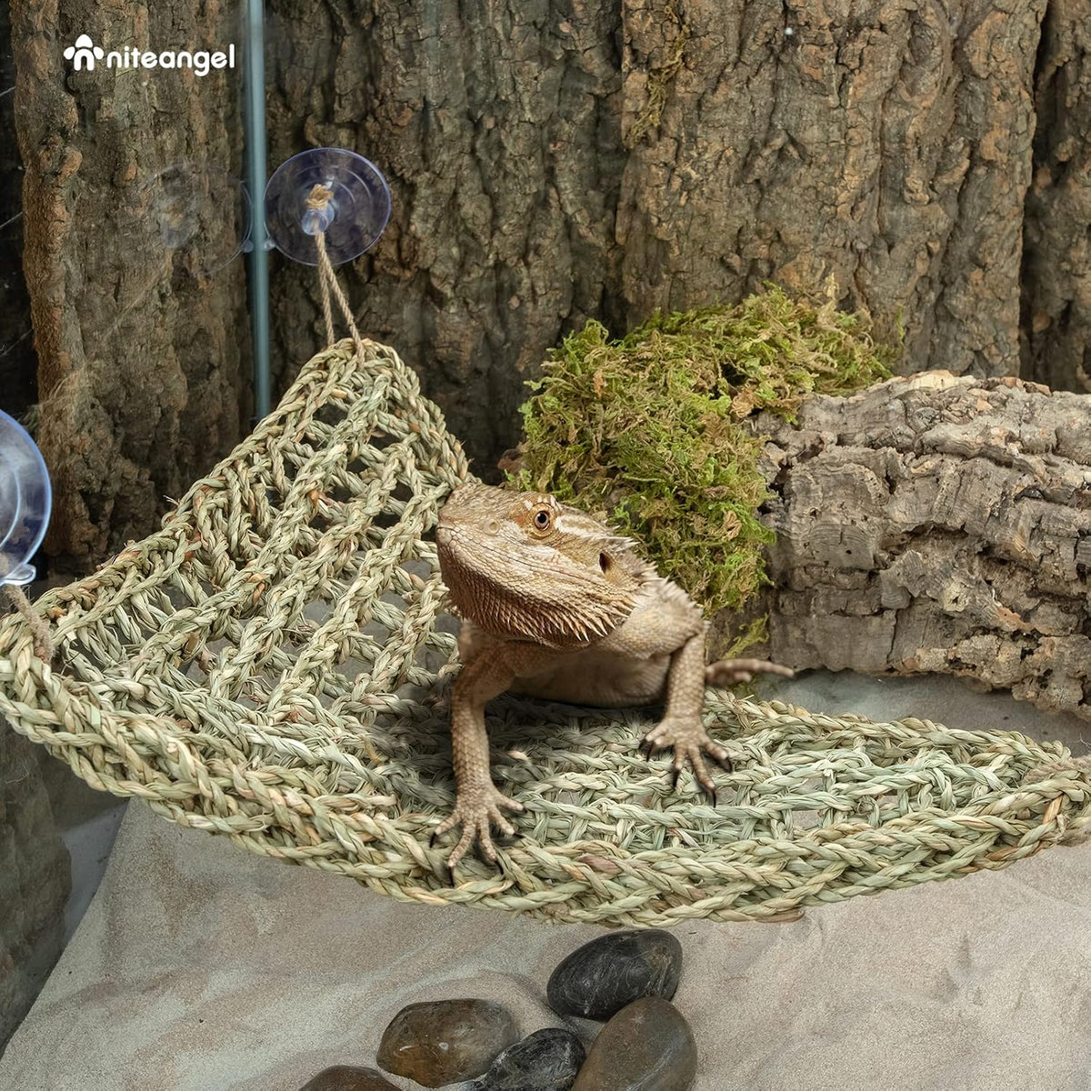 Bearded Dragon Seagrass Hammock: Triangle 17'' x 12.5''
