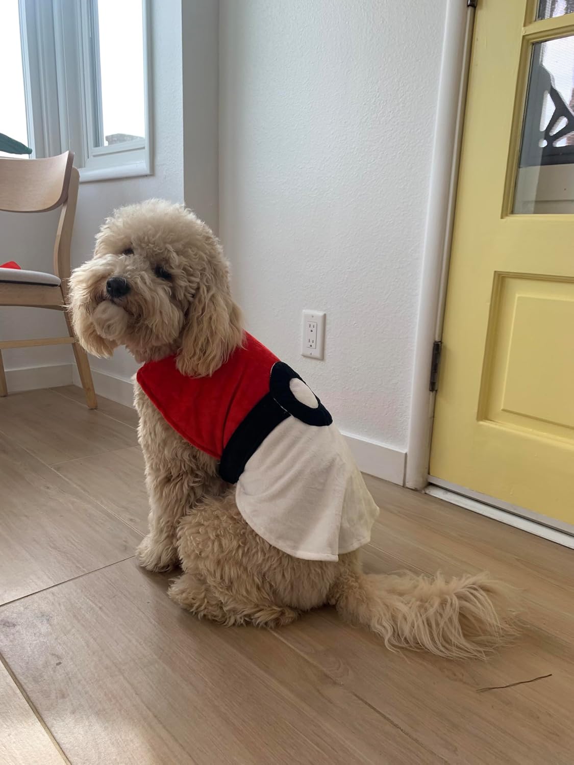 Red and White Dog Costume