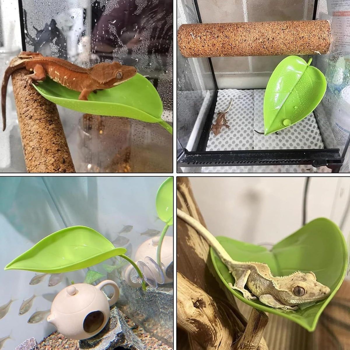Crested Gecko Tank Accessories, Reptile Decor,Reptile Hanging Plants Vines with Coconut Shell Ladder Hideout Hermit