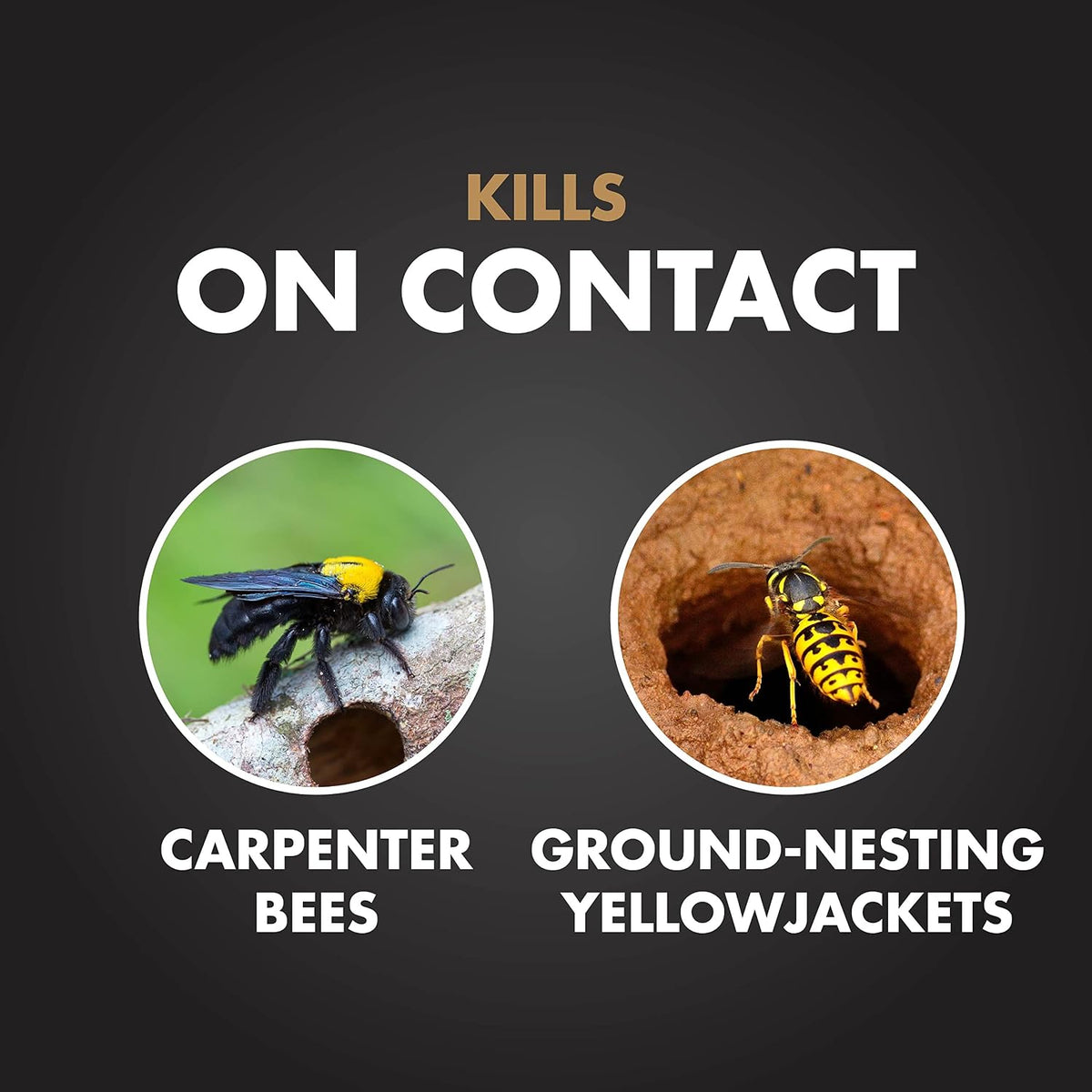 Carpenter Bee & Gound-Nesting Yellowjacket Killer 16 Oz, 3 Pack | Foaming Aerosol Kills on Contact, Expands To Where