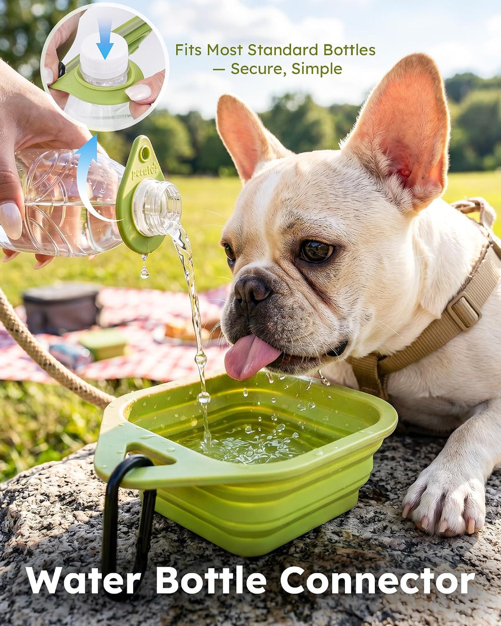 2 Pack Collapsible Dog Bowls, Food-Grade Silicone, Blue & Green