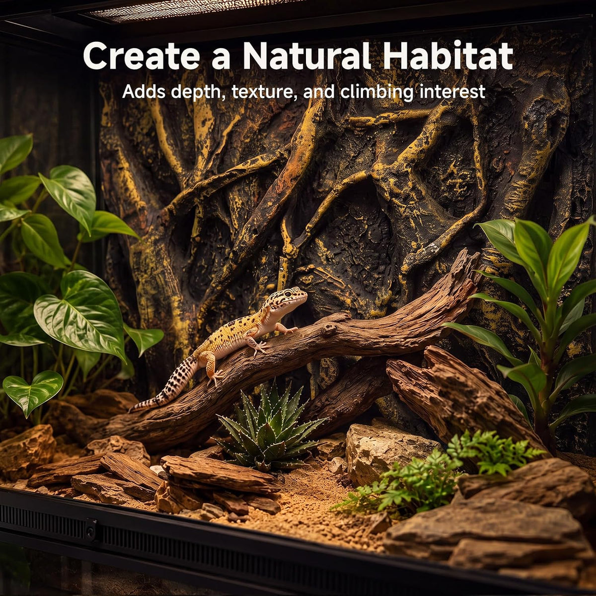 3D Reptile Tank Background 23.6x17.7 Bamboo Root Lizard Terrarium