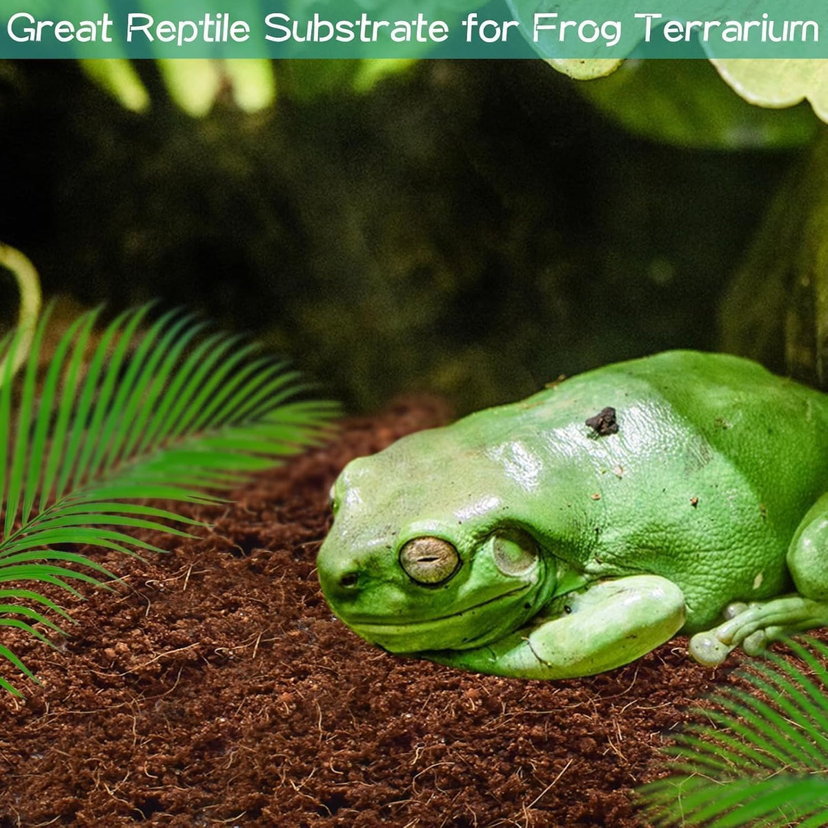 2 Pack Compressed Coconut Fiber Substrate for Reptiles