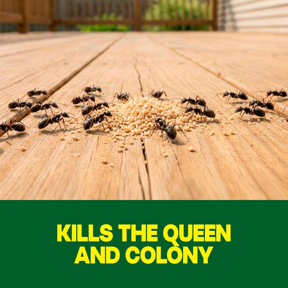 Outdoor Liquid Ant Bait, Starts Killing Listed Ants Within 24 Hours, Effective Outdoors, Pre-Filled and Ready-to-Use