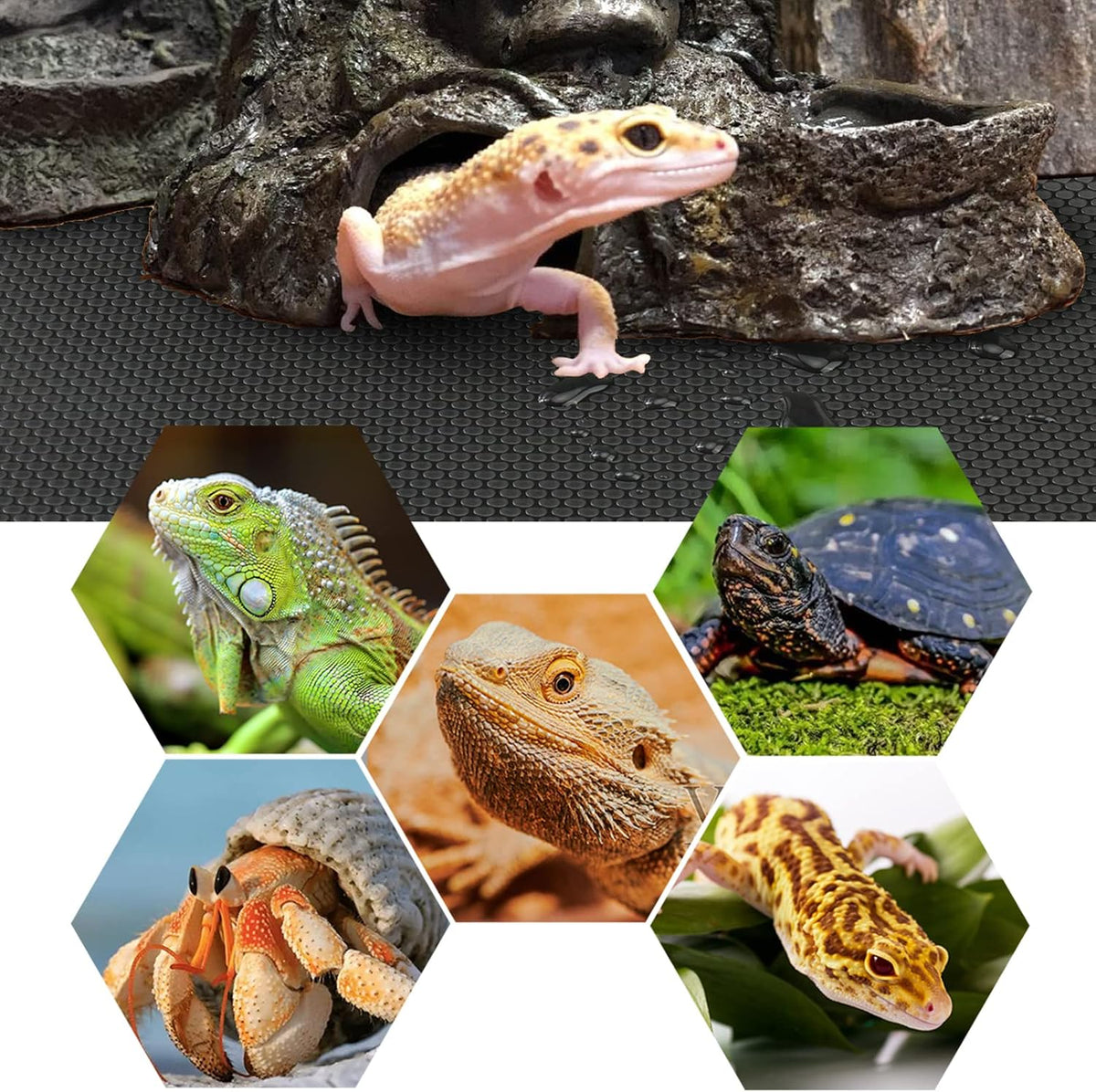 Bearded Dragon Tank Accessories, Reptile Terrarium Carpet Substrate for Leopard Gecko, Lizard, Iguana, Snake