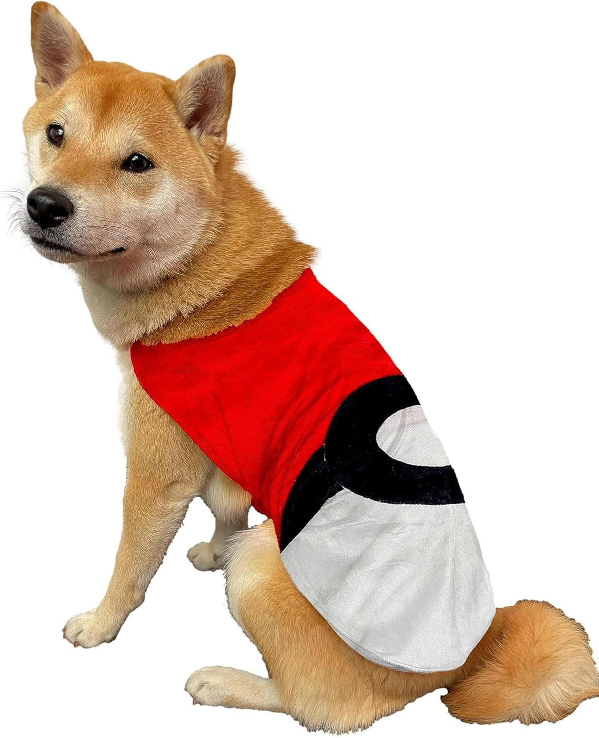 Red and White Dog Costume
