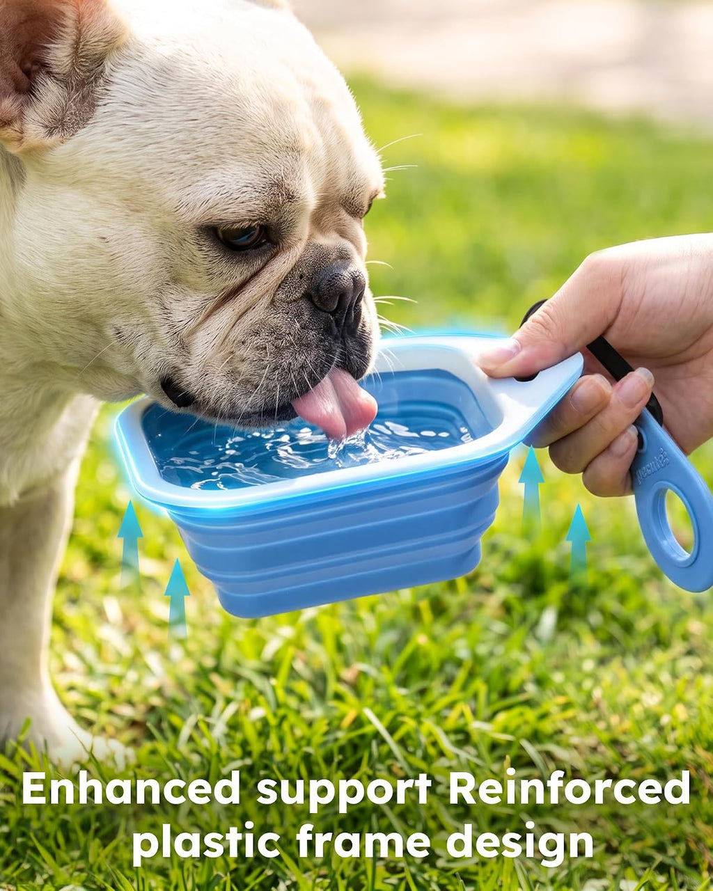 2 Pack Collapsible Dog Bowls, Food-Grade Silicone, Blue & Green