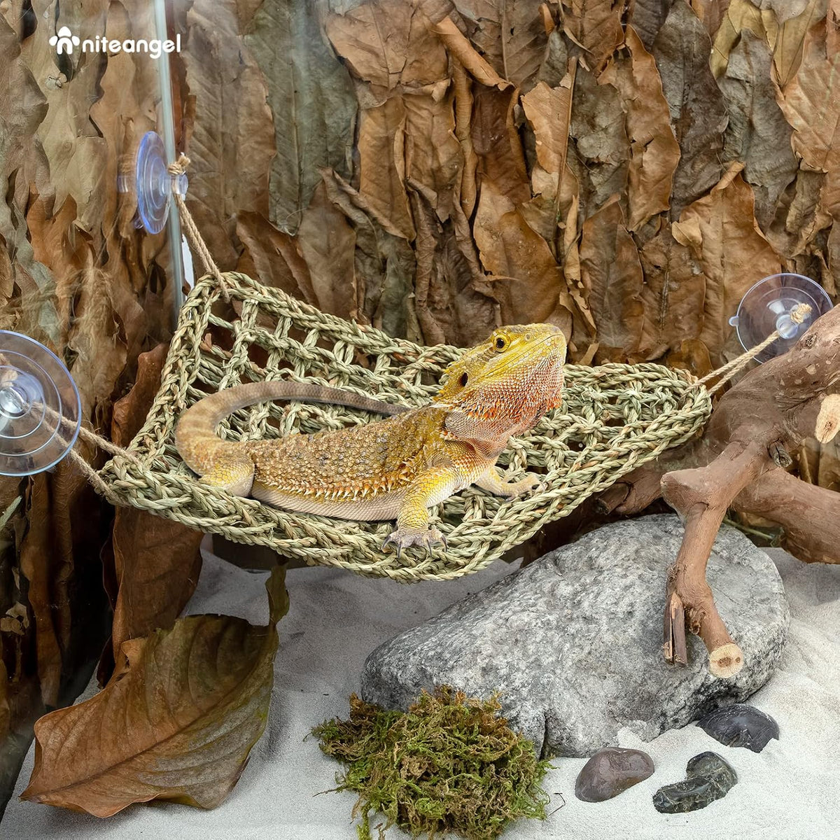 Bearded Dragon Seagrass Hammock: Triangle 17'' x 12.5''
