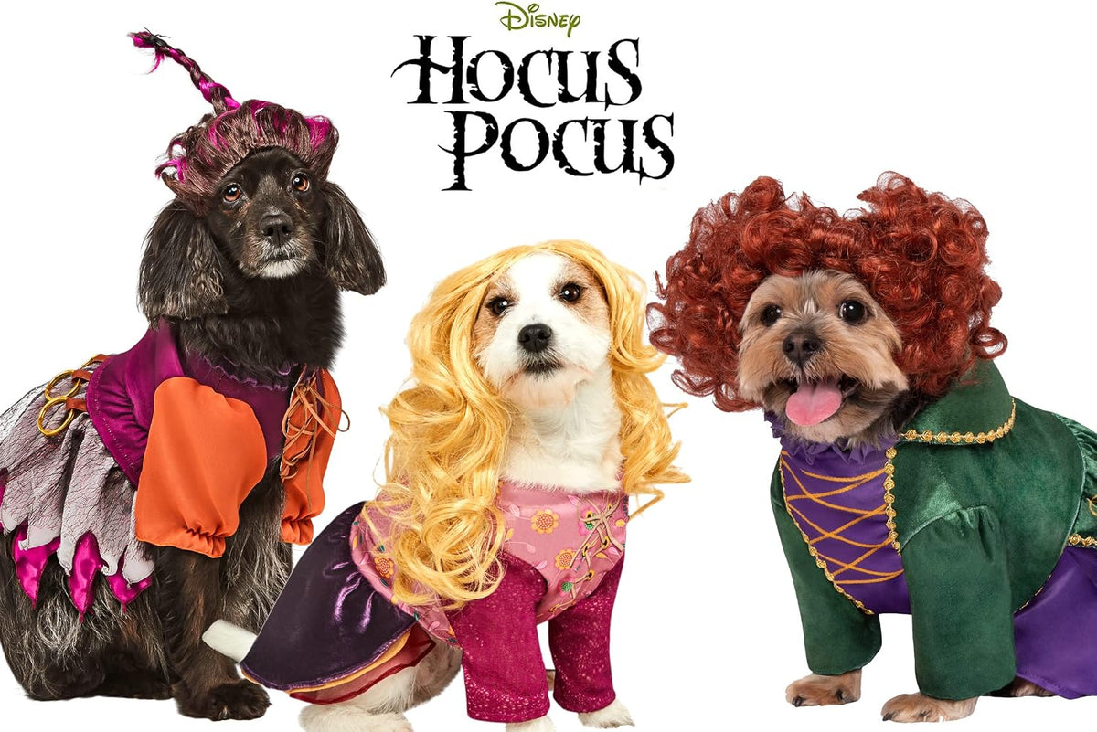 Disney Hocus Pocus: Winifred Sanderson Pet Costume for for Dogs or Cats, XL