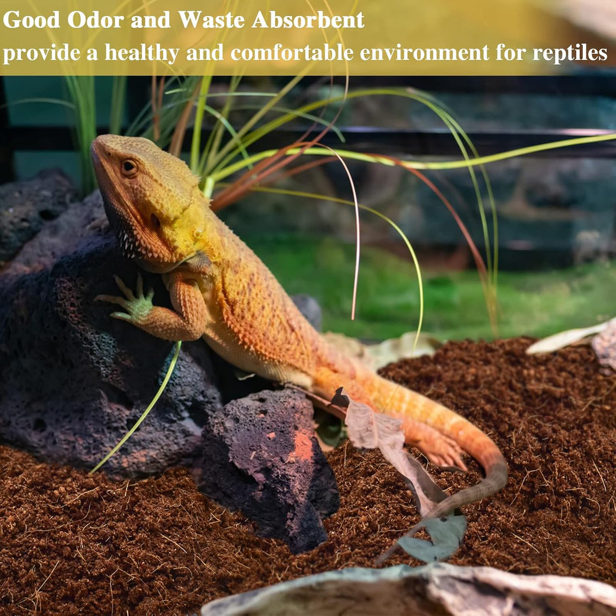 4 Pack Coconut Fiber Substrate, Premium Coco Coir Reptile Substrate