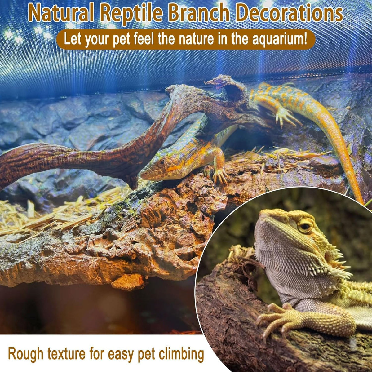 Reptile Decor 4PCS Natural Forest Branch Terrarium Habitat Wood Decoration Lizard Climbing Tree Branch for Bearded