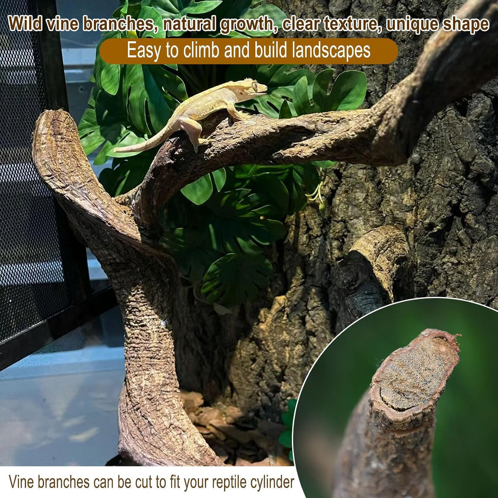 Reptile Decor 4PCS Natural Forest Branch Terrarium Habitat Wood Decoration Lizard Climbing Tree Branch for Bearded